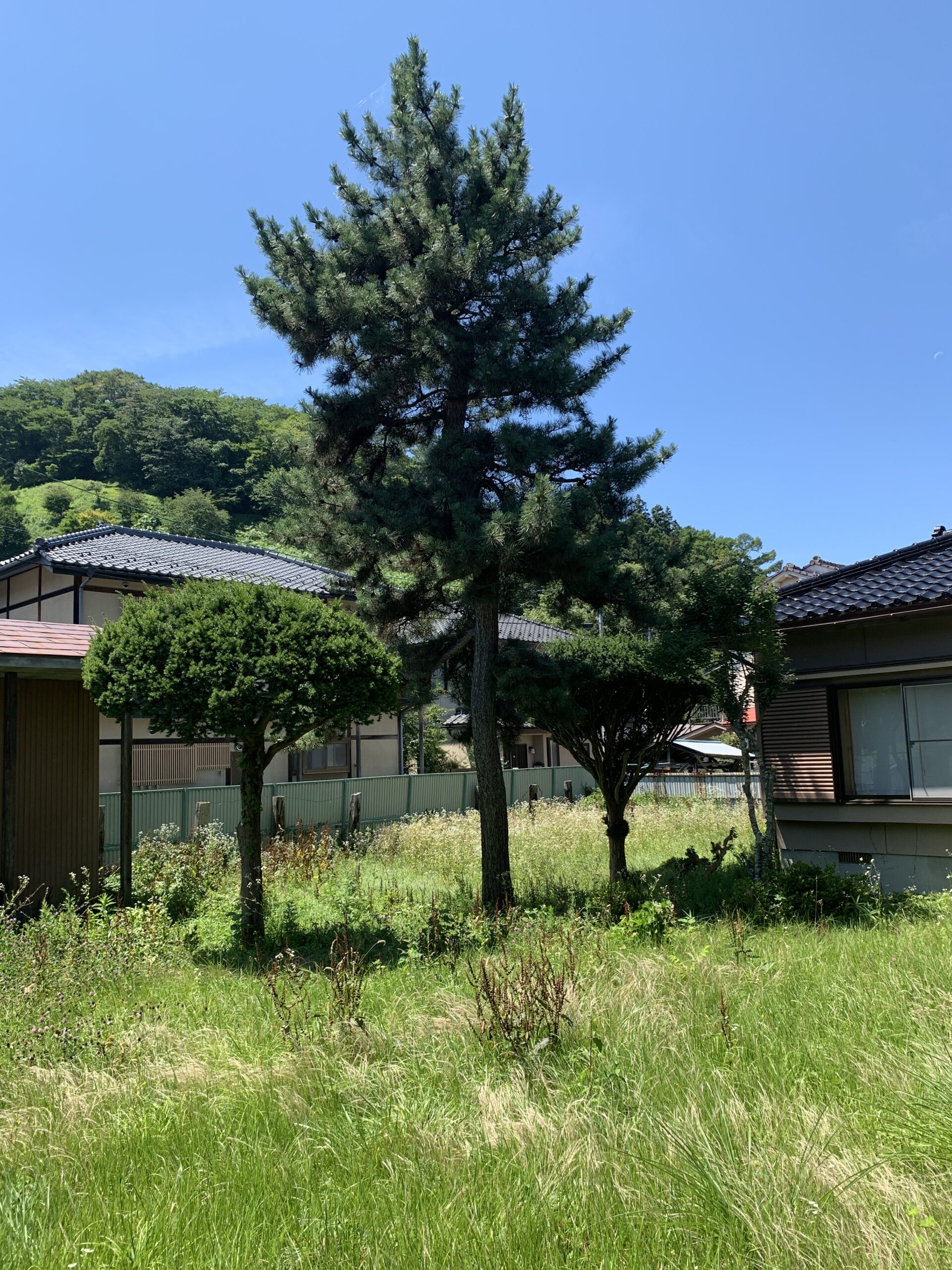 【岩手県遠野市東舘町】土地475.23㎡・建物148.45㎡｜5DKの既存住宅 物件写真3